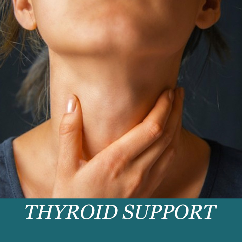 thyroidSupport